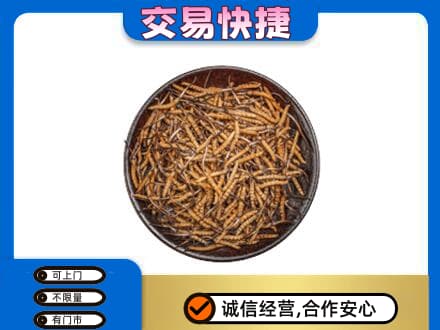 洛宁县高价回收散虫草